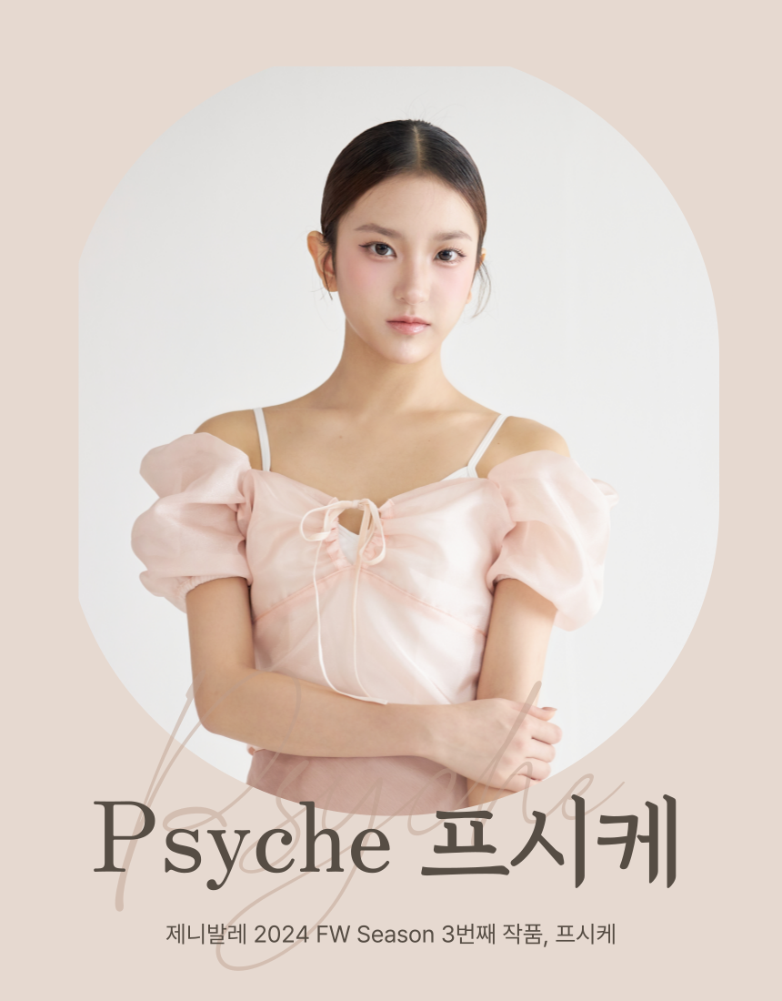 제니발레 프시케 커버업 성인발레복